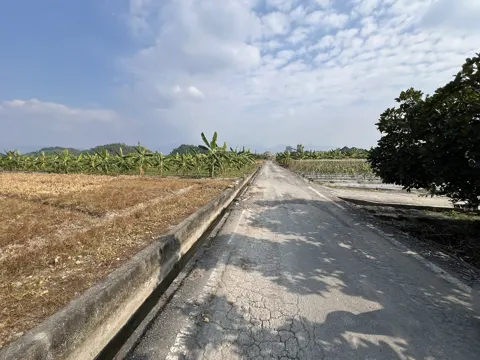 美濃便宜農地